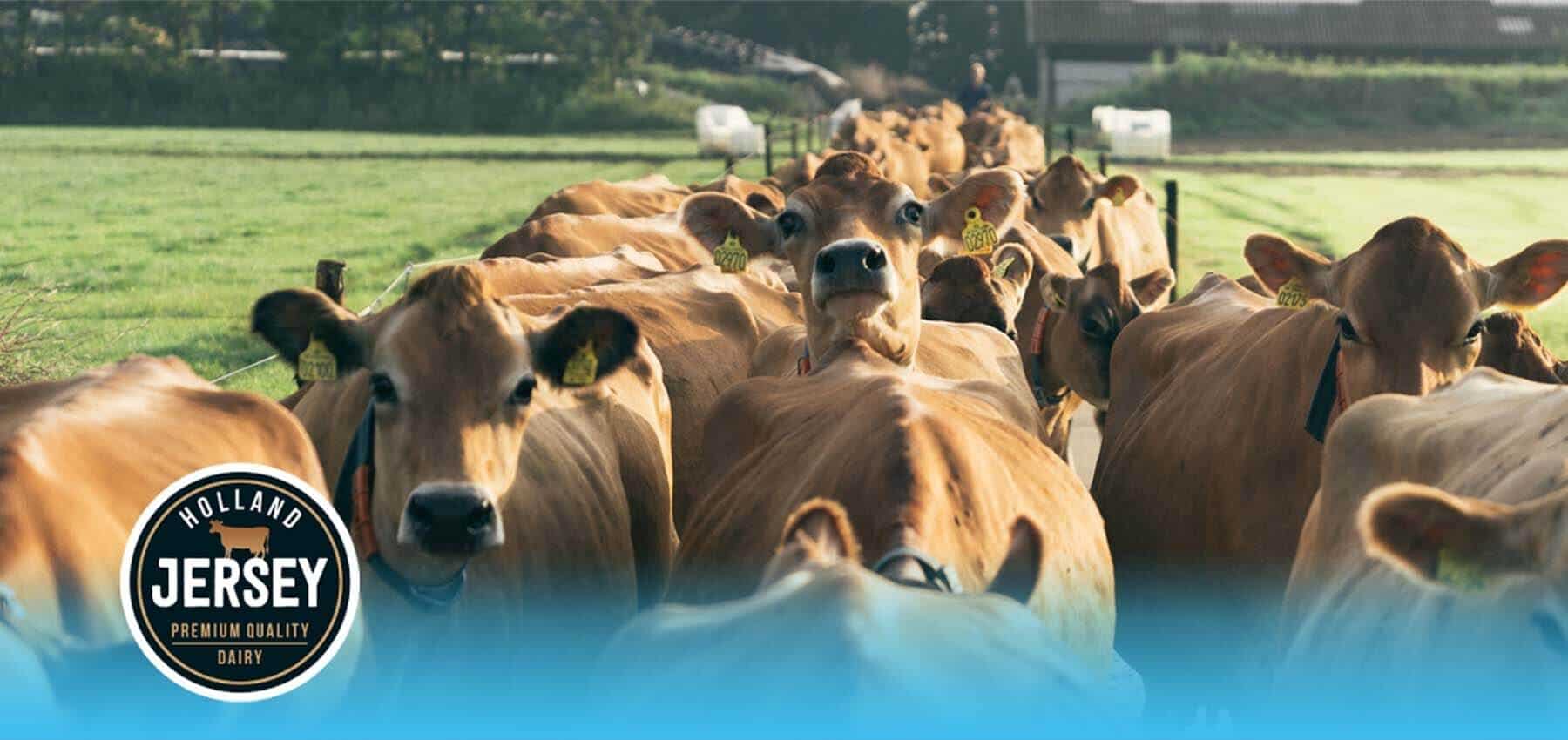 milk-case-image (1) (1)